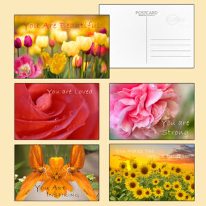 postcard-affirmation-collection